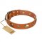 "Visual Magic" FDT Artisan Tan Leather American Bulldog Collar for Daily Activities