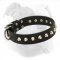 Decorated Leather Dog Collar for American Bulldog