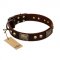 "Magic Amulet" Brown Leather American Bulldog Collar with Skulls and Plates