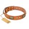 "Saucy Nature" FDT Artisan Tan Leather American Bulldog Collar with Old Bronze Look Plates and Skulls