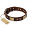 "Shining Armour" FDT Artisan Brown Leather American Bulldog Collar with Decorations