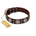 "Imperial Legate" FDT Artisan Brown Leather American Bulldog Collar with Big Round Plates