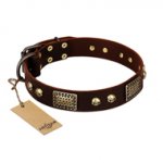 "Magic Amulet" Brown Leather American Bulldog Collar with Skulls and Plates