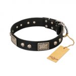 "Pirates Gold" FDT Artisan Black Leather American Bulldog Collar with Old Silver Look Plates and Skulls