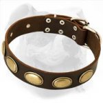 Retro Rulz - Gorgeous Vintage Dog Leather Collar for Americn Bulldog
