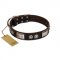 "Baller Status" FDT Artisan Brown Leather American Bulldog Collar Adorned with a Set of Chrome Plated Studs and Plates