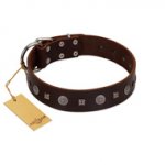 "Pure Sensation" Exclusive FDT Artisan Brown Leather American Bulldog Collar with Fancy Brooches and Studs