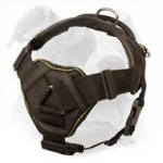 New Design Nylon Harness with Chest Plate - Safe and Comfortable Activity for American Bulldog