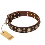 'Flower Melody' American Bulldog FDT Artisan Brown Leather Dog Collar with Mixed Studs