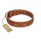 "Star Shine" Exclusive FDT Artisan Tan Leather American Bulldog Collar with Silver-Like Adornments