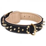 Fur Protection Spiked Padded Leather American Bulldog Collar