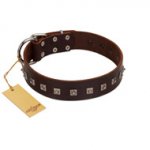 "Kingly Grace" FDT Artisan Brown Leather American Bulldog Collar with Silver-like Dotted Studs