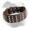 American Bulldog Leather Collar with Spikes and Studs