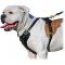 Tracking and Walking Leather Dog Harness for American Bulldog