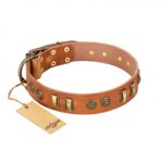 "Natural Beauty" FDT Artisan Tan Leather American Bulldog Collar with Old Bronze-like Circles and Plates