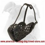 American Bulldog Agitation/Attack Training Muzzle