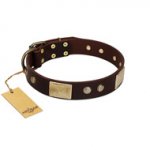 "Middle Age" FDT Artisan Brown Leather American Bulldog Collar with Old Bronze-Plated Engraved Flowers and Large Plates