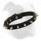 Elegant Spiked Leather American Bulldog Collar for Daily Walking