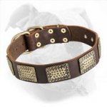 Luxury Leather Dog Collar with Curved Massive Plates for American Bulldog