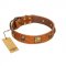"Knights Templar" FDT Artisan Tan Leather American Bulldog Collar with Skulls and Crossbones Combined with Squares