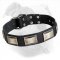 Buy Leather American Bulldog Collar with Decorated Large Nickel Plates for Walking