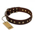 "Fashion Studs" FDT Artisan Decorated Leather American Bulldog Collar with Old Bronze-Plated Steel Hardware