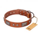 "Sparkling Skull" FDT Artisan Tan Leather American Bulldog Collar with Old Silver Look Plates and Skulls