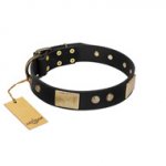 "Antique Gloss" FDT Artisan Black Leather American Bulldog Collar with Bronze-like Plates and Small Studs
