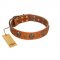 "Rockstar" FDT Artisan Tan Leather American Bulldog Collar with Engraved Studs and Medallions
