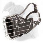 Wire Basket Muzzle Leather Padded for American Bulldogs