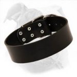 High Quality Super Wide Leather Collar for American Bulldog