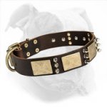 War-Style Leather Dog Collar with Brass Plates and Nickel Spikes for American Bulldog