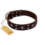 "Trendy Candy" FDT Artisan Brown Leather American Bulldog Collar Adorned with Stars and Tiny Squares