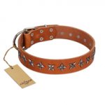 "Star Trek" FDT Artisan Tan Leather American Bulldog Collar Decorated with Stars