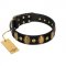 "Venerable Pawty" FDT Artisan Black Leather American Bulldog Collar with Old Bronze-like Ovals and Studs
