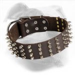 Spiked Leather Dog Collar for American Bulldog