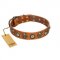 "Golden Epoch" FDT Artisan Tan Leather American Bulldog Collar with Old Bronze-plated Medallions and Conchos