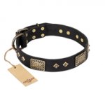"Jewel Passion" FDT Artisan Fashionable Black Leather American Bulldog Collar