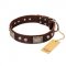 "Pirate Skull" FDT Artisan Brown Leather American Bulldog Collar with Old Silver Look Plates and Skulls