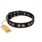 "Golden Artifact" FDT Artisan Black Leather American Bulldog Collar with Old-bronze Covered Medallions