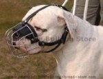 Basket Wire Dog Muzzle Light For American Bulldog