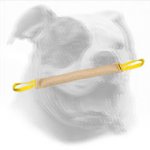Puppy Dog Bite Tug for American Bulldog