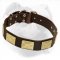 American Bulldog Leather Collar with Brass Massive Plates