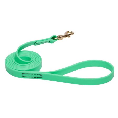 Green Waterproof American Bulldog Leash Made of Biothane