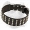 Wide Studded Leather American Bulldog Collar