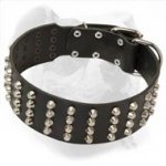 Wide Studded Leather American Bulldog Collar