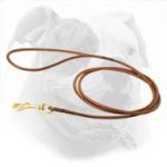 Elegant Round Leather Dog Show Leash for American Bulldog