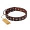 "Pirate Treasure" FDT Artisan Exciting Brown Leather American Bulldog Collar with Studs