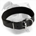 Super Soft and Gentle Leather Dog Collar Padded with Felt for Comfortable American Bulldog Training