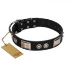 "Grand Wear" FDT Artisan Black Leather American Bulldog Collar with Shining Plates and Spiked Studs